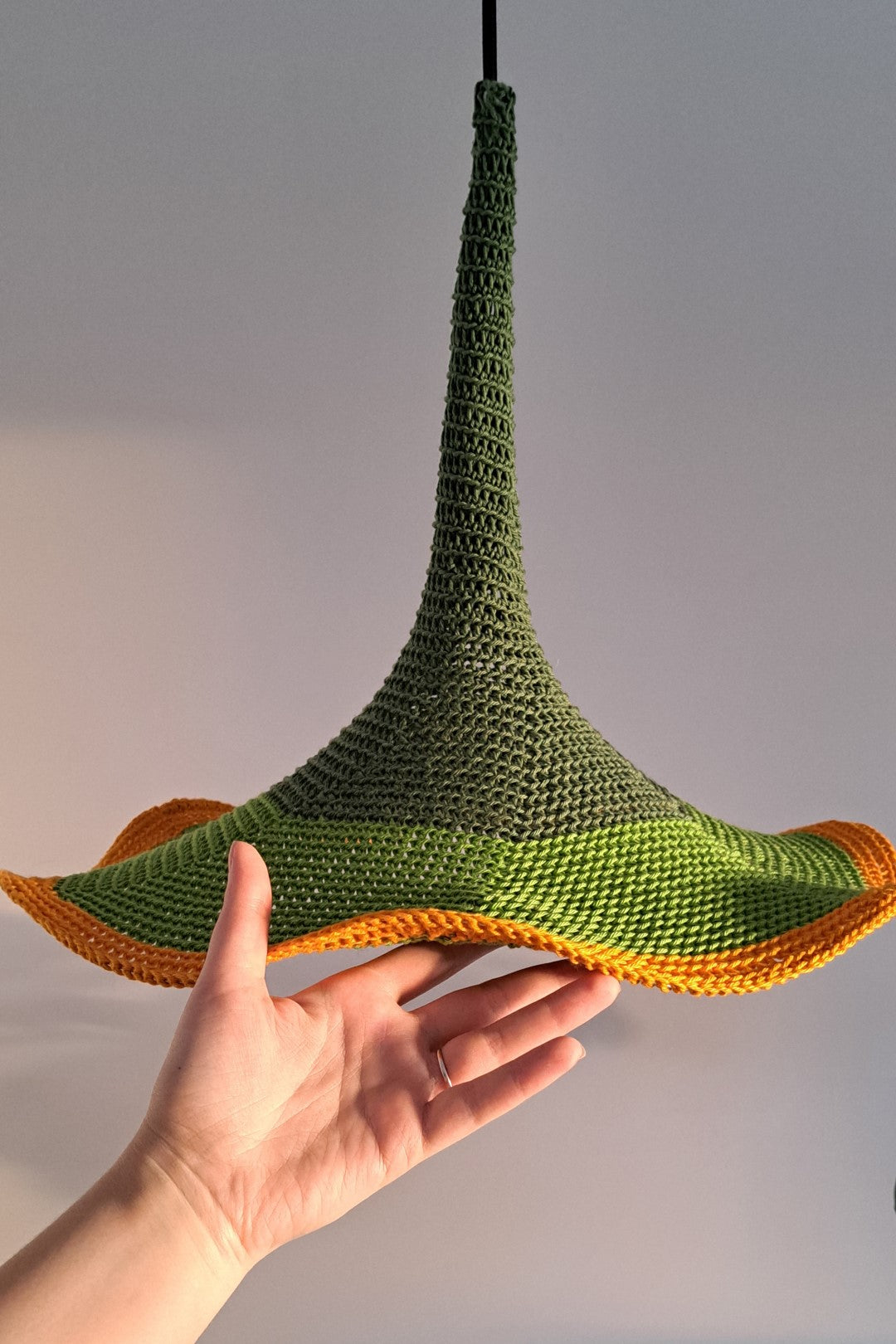 Morning Glory 2 Ceiling Lamp