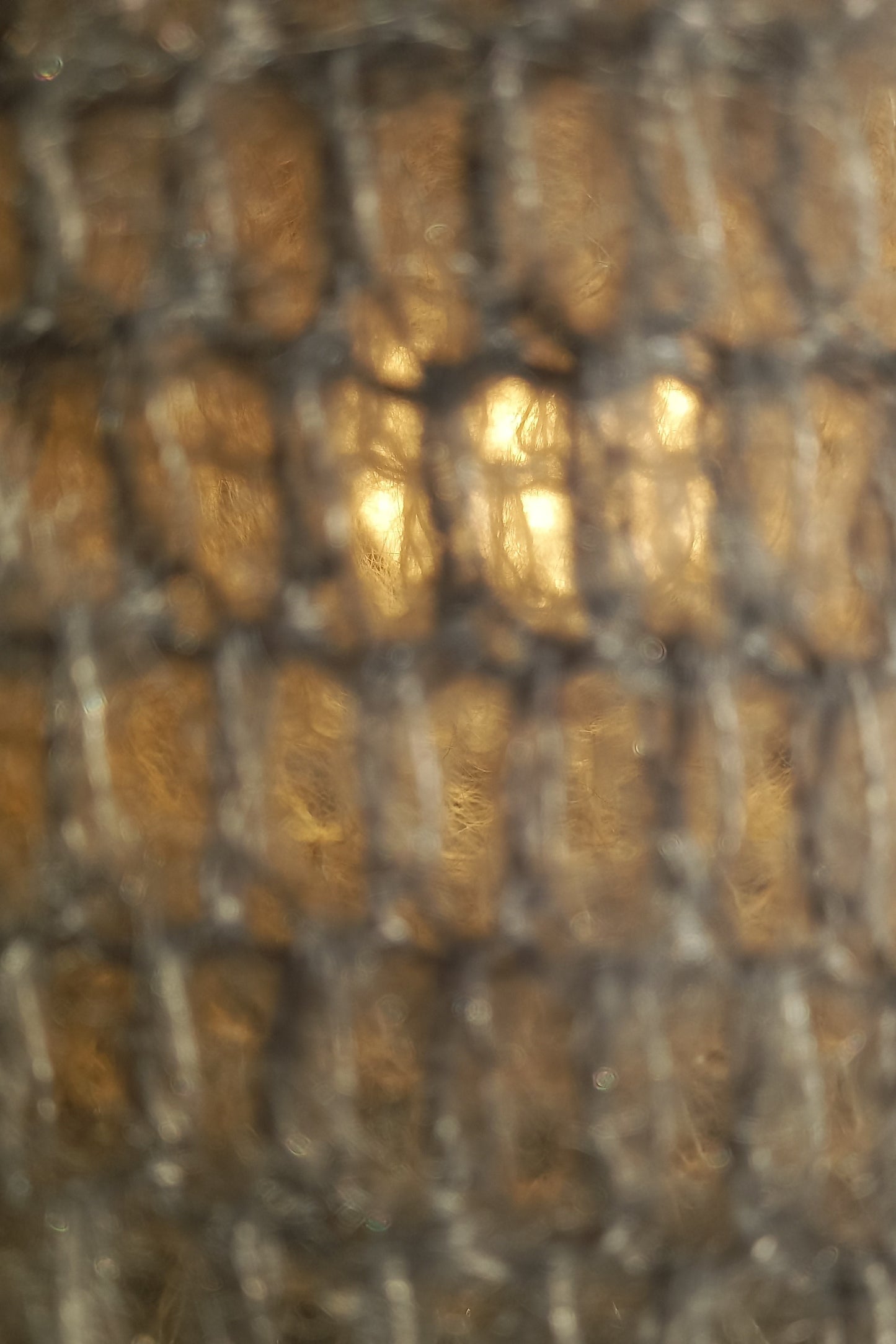 Secret Well Lamp Shade