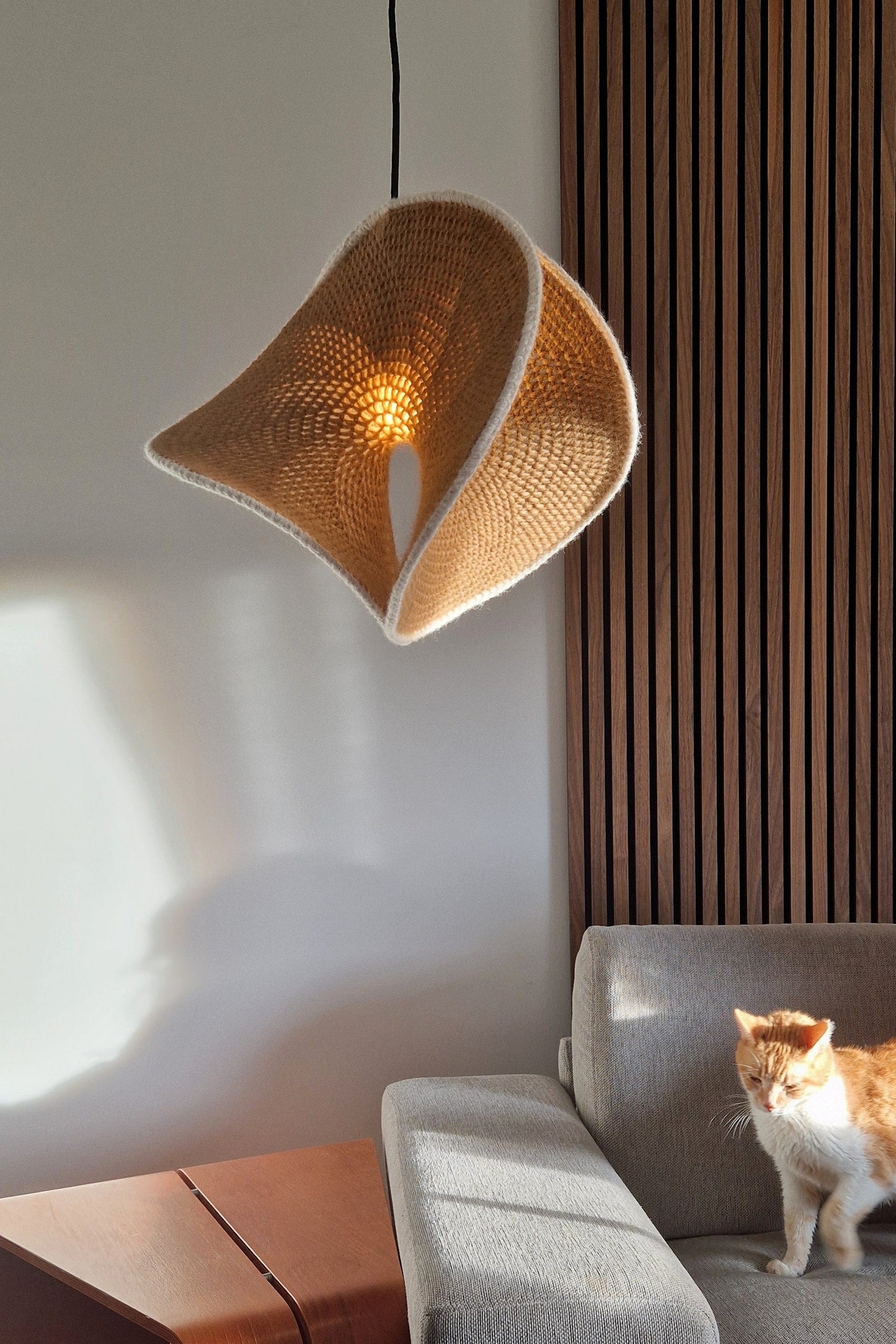 Modern living room with a unique pendant light fixture and a cat on a gray sofa.
